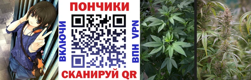 Бошки Шишки OG Kush  Обоянь 